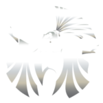 The Simon Cabaret Phuket